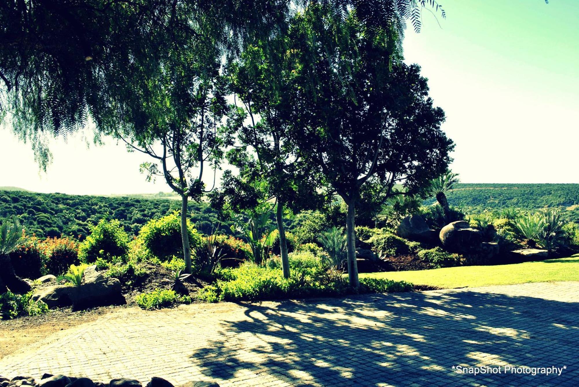Kududu Guest House Addo Exteriör bild