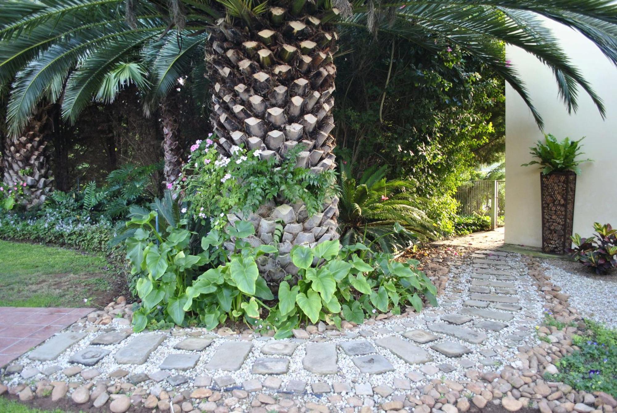 Kududu Guest House Addo Exteriör bild
